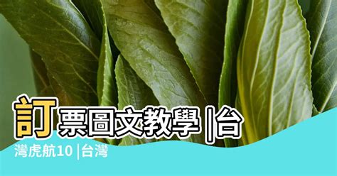 虎厝邊意思|台灣虎航